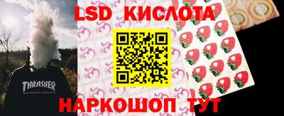 стаф Донской