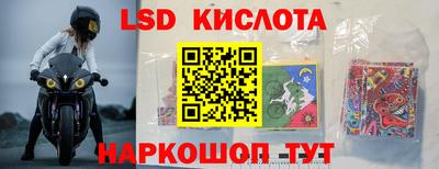 стаф Донской
