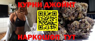 стаф Донской